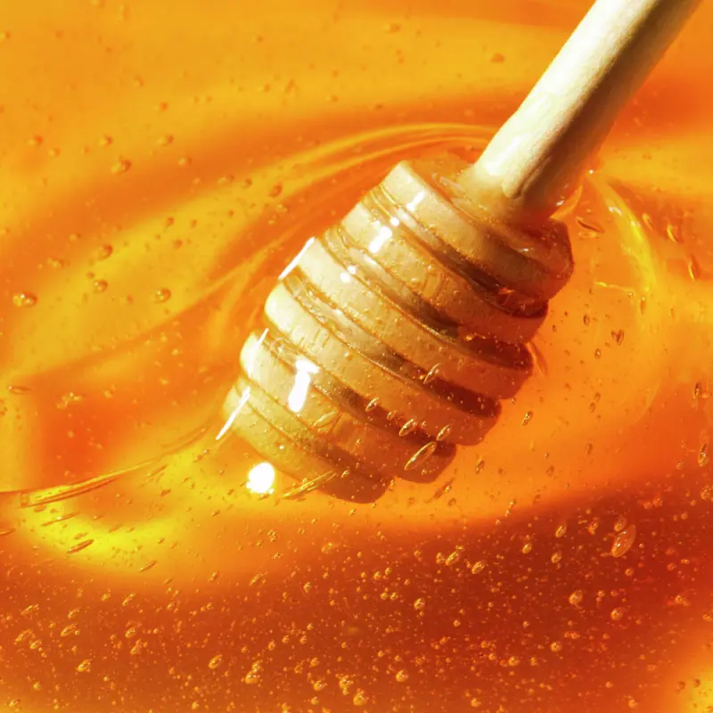 Reve de Miel Mézes Ajakápoló (10 ml)