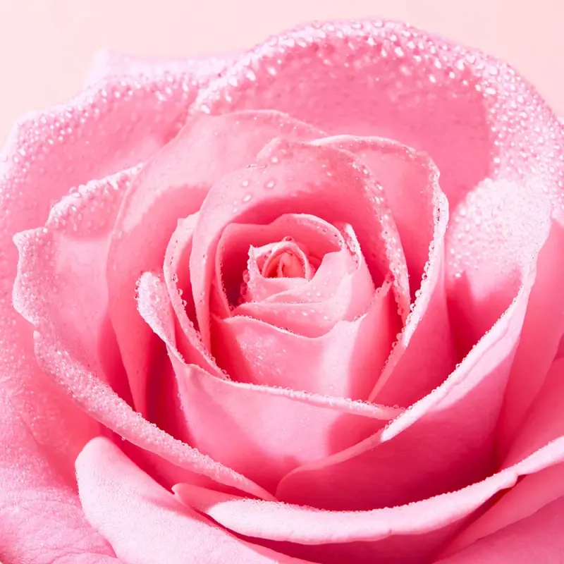 Very Rose Nyugtató arctisztító micellás víz 750 ml